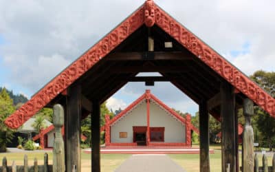 What we can learn from Te Ao Māori