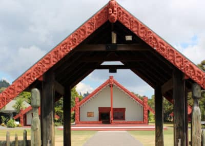 What we can learn from Te Ao Māori