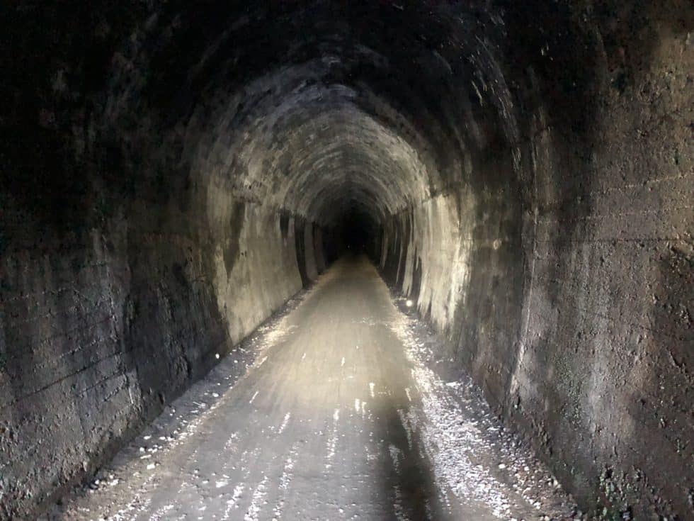 Day 18 Tunnel of fun NZ2050 with Rod Oram